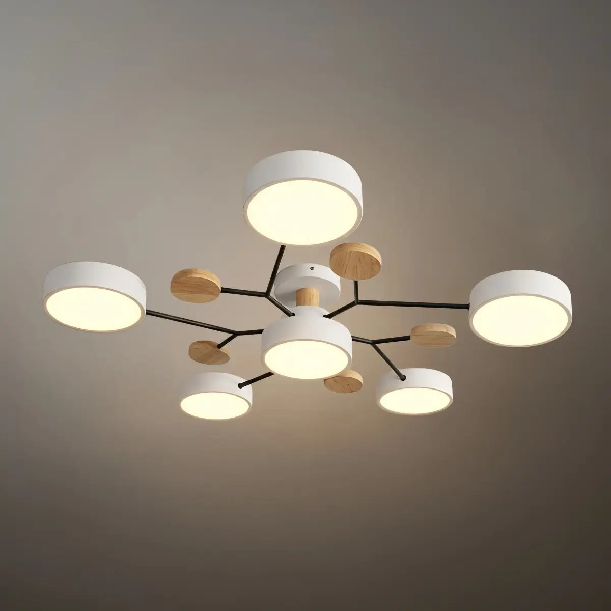 Modern_Round_Ceiling_Light